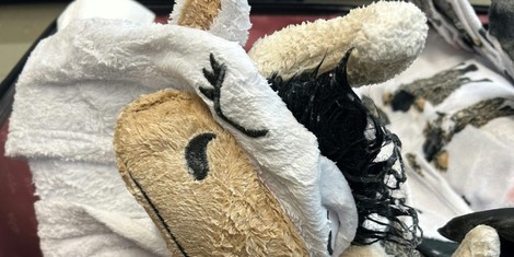 64335ce5a8b4836a94bd3d3bbd43fee71b86e8de