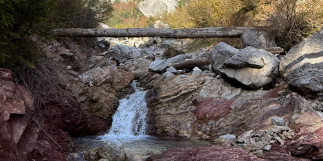 cropped-1739368471-img_5831