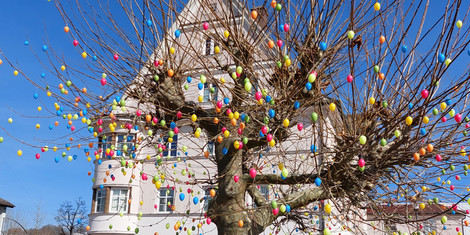 cropped-1741001053-osterbaum_ck