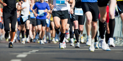 cropped-1742827777-adobestock_64258895