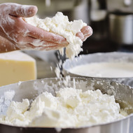 Von der Krabbelkiste ins Brot: Warum Mehlwürmer in unserem Essen landen 