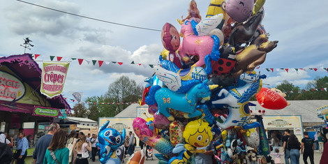 cropped-1745168042-20250420_154428