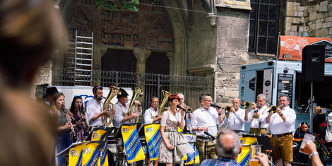 cropped-1747211396-dsc00317