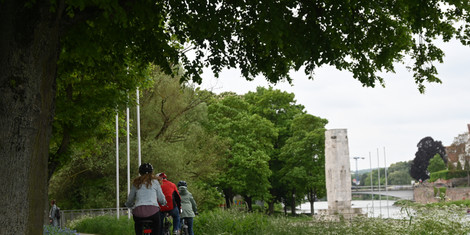cropped-1749199098-dsc_5638