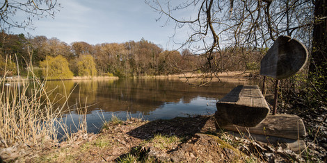 cropped-1749719276-markt-buch_weiher-nordholziller-roth-biber-1