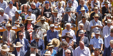 cropped-1750266652-bildschirmfoto-2025-06-18-um-19.10.44