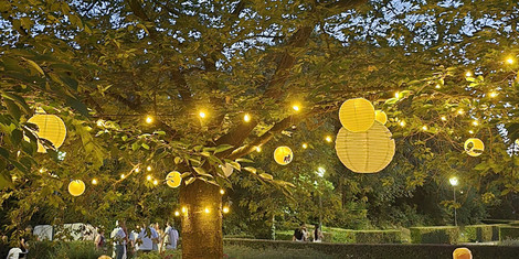 cropped-1751445821-20250630-whitenight_6