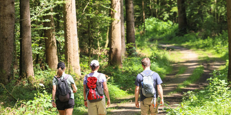 cropped-1751619851-wandern-augsburger-land_julia-pietsch_cc-by-sa-11