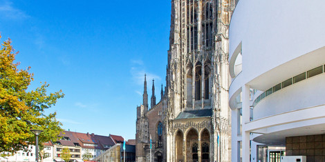 cropped-1752139961-adobestock_90468803