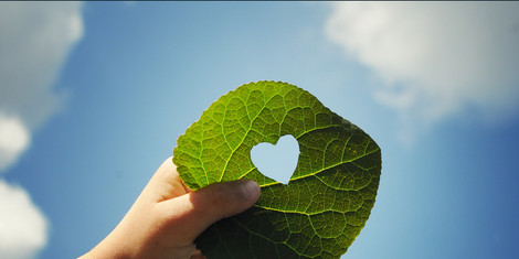 cropped-1752155919-adobestock_32558688