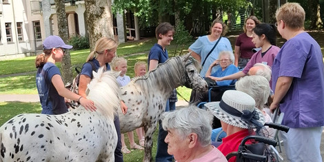 cropped-1752590487-2025-07-15-kswh_turkheim_pony
