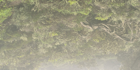 cropped-1753267758-2025_mos_kunstforum_karen_irmer_zustand_der_veranderung_foto_karen_irmer