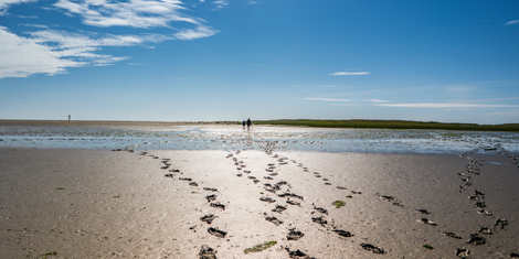 cropped-1753375948-bildschirmfoto-2025-07-24-um-18.52.19