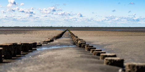 cropped-1753376021-bildschirmfoto-2025-07-24-um-18.53.34