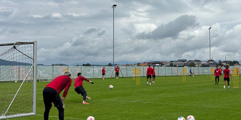 cropped-1753915412-img_2416