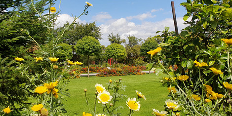 cropped-1756724080-25_08_28_sommeraussicht_foto_botanischer-garten_stadt-augsburg