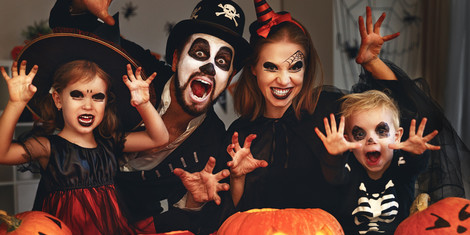 cropped-1758791847-adobestock_172445508