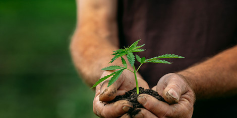 cropped-1761071388-adobestock_281271870_parilov