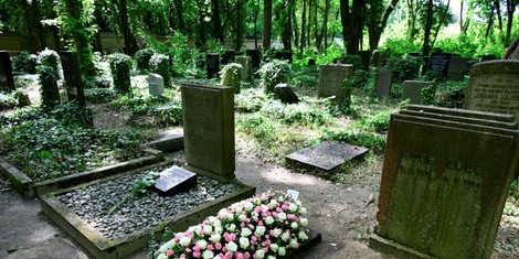 1aa8fde560c8508616a3b68c9a0ffe8d0a7781c4