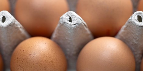 ade5dd07e9d28e0beec3a1f2cafba13275cafbd0