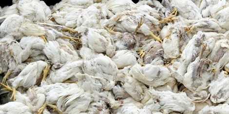 5c58af1b56121f05e329e2d7a1d6e52d29231414