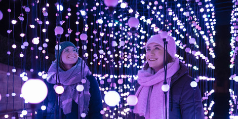 cropped-1762181755-christmas-garden