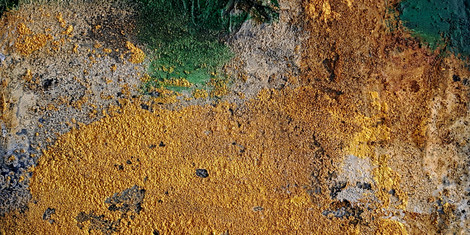 cropped-1762332500-angelika-haschler