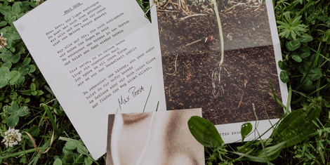 cropped-1763127611-bildschirmfoto-2025-11-14-um-14.40.00