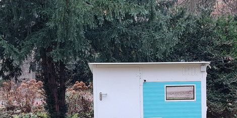 cropped-1763374806-ulmer-nest_2