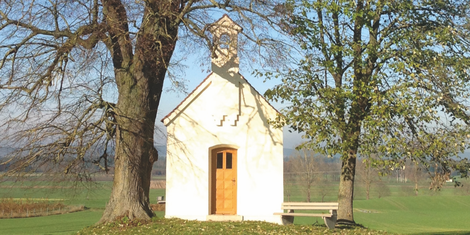 cropped-1763406506-bildschirmfoto-2025-11-17-um-20.08.19