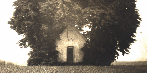 cropped-1763406545-bildschirmfoto-2025-11-17-um-20.08.59