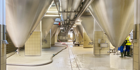 cropped-1763407502-bildschirmfoto-2025-11-17-um-20.24.55