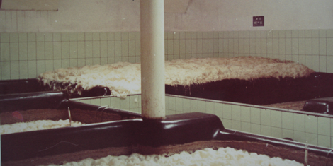 cropped-1763407528-bildschirmfoto-2025-11-17-um-20.25.22