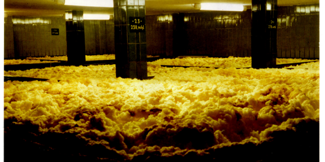 cropped-1763407606-bildschirmfoto-2025-11-17-um-20.26.39