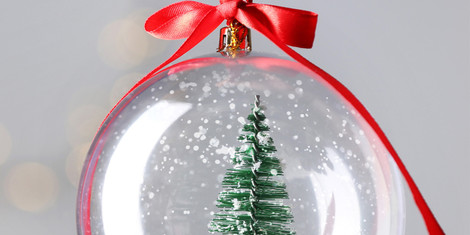 cropped-1763714362-bild_gross_2025