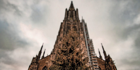 cropped-1763732880-uxm_impression-2