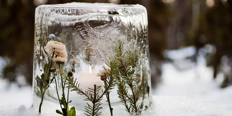 cropped-1763737589-adobestock_106695506