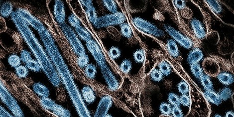 43b76a384d39df0b19d8d0637ba6f4fc5ff3c867