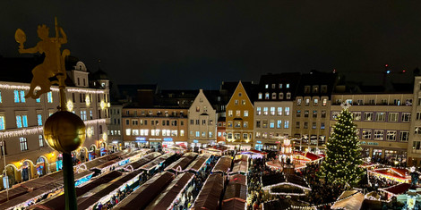 cropped-1764015654-img_6136