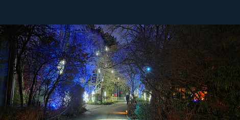 cropped-1764269602-20251127_171002