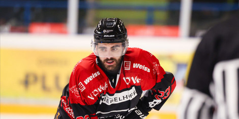 cropped-1764326163-stef