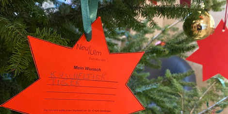 cropped-1764327572-image