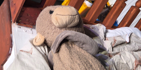 cropped-1764584410-20251124_114123