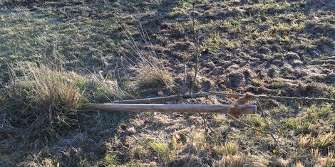 cropped-1764586126-20251134-vandalismus_2