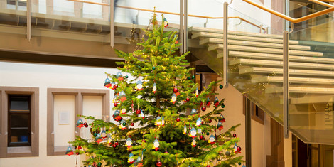 cropped-1764927873-wunschbaum