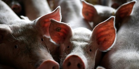 65f3b6fd7c6d0793bba188f4fb502fddc6148e49