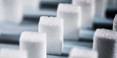 b03e960b486de9a9c3722cb134186285a746206d