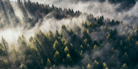 cropped-1766750985-adobestock_299070162