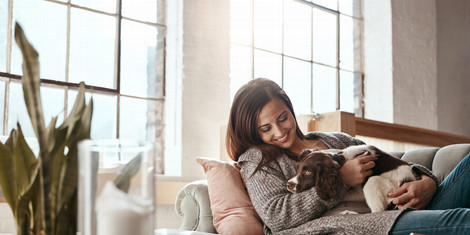 cropped-1766752621-adobestock_564587884