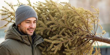 cropped-1767341372-adobestock_1845930065